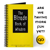 Are We Having More Fun Yet?